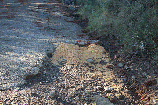 "Caminos o Trialeras?, esta pregunta me viene a la cabeza cada vez que me desplazo por el termino municipal"
