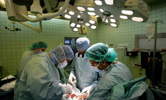 España bate récord de trasplantes y duplica los donantes de médula en 2013