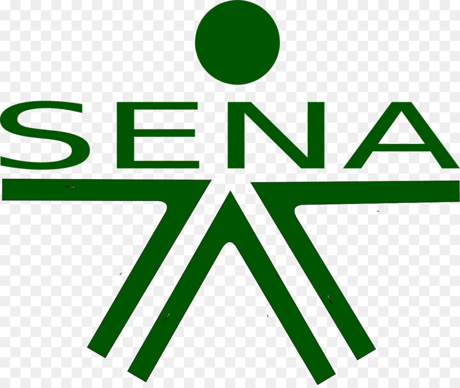 Historia del Sena