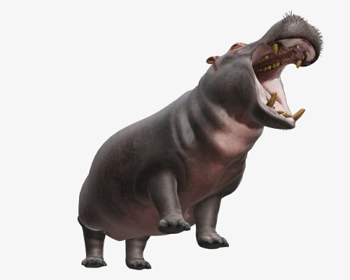 Hipopótamo en 3D gracias a la ampliación de realidad aumentada de Google