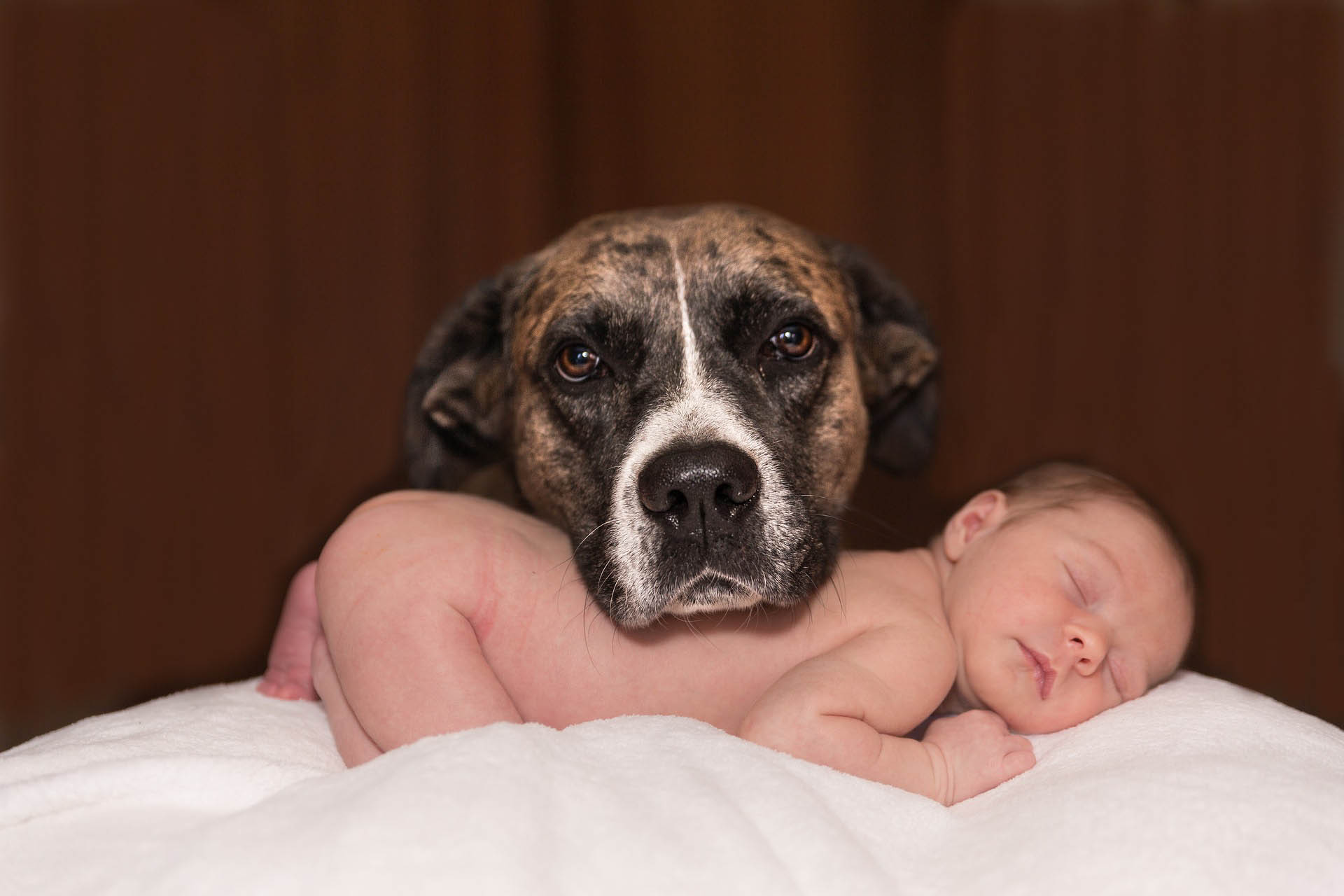 Los bebés crecen más fuertes si se crían con animales