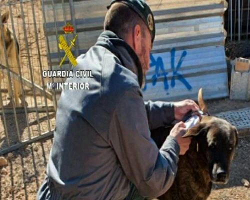 Detenida por sacrificar a 500 animales en Tarragona