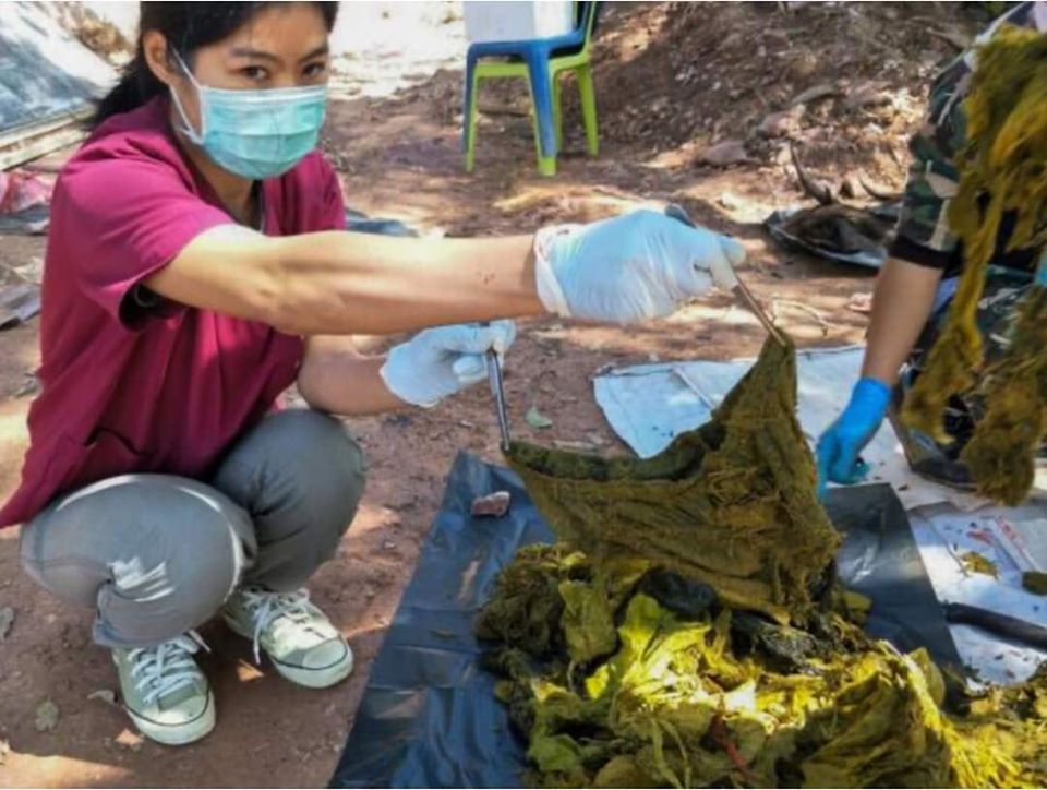 Ciervo muere en Tailandia con siete kilogramos de residuos 