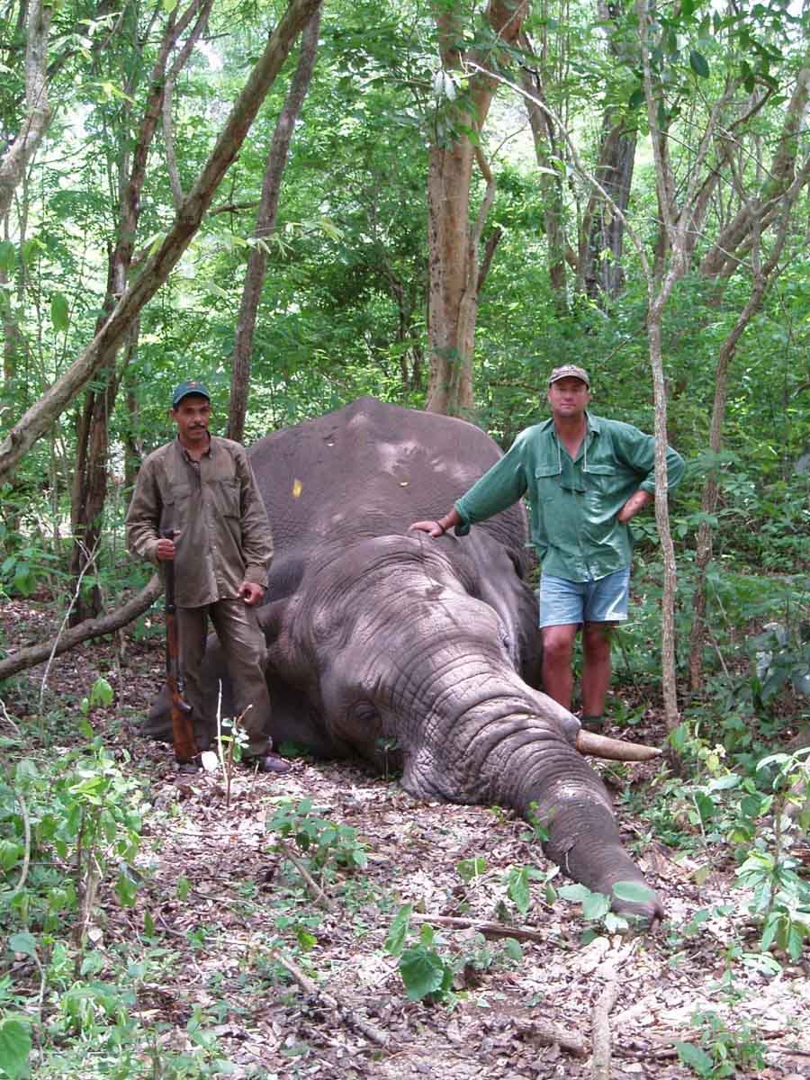 Botha posando con un elefante abatido