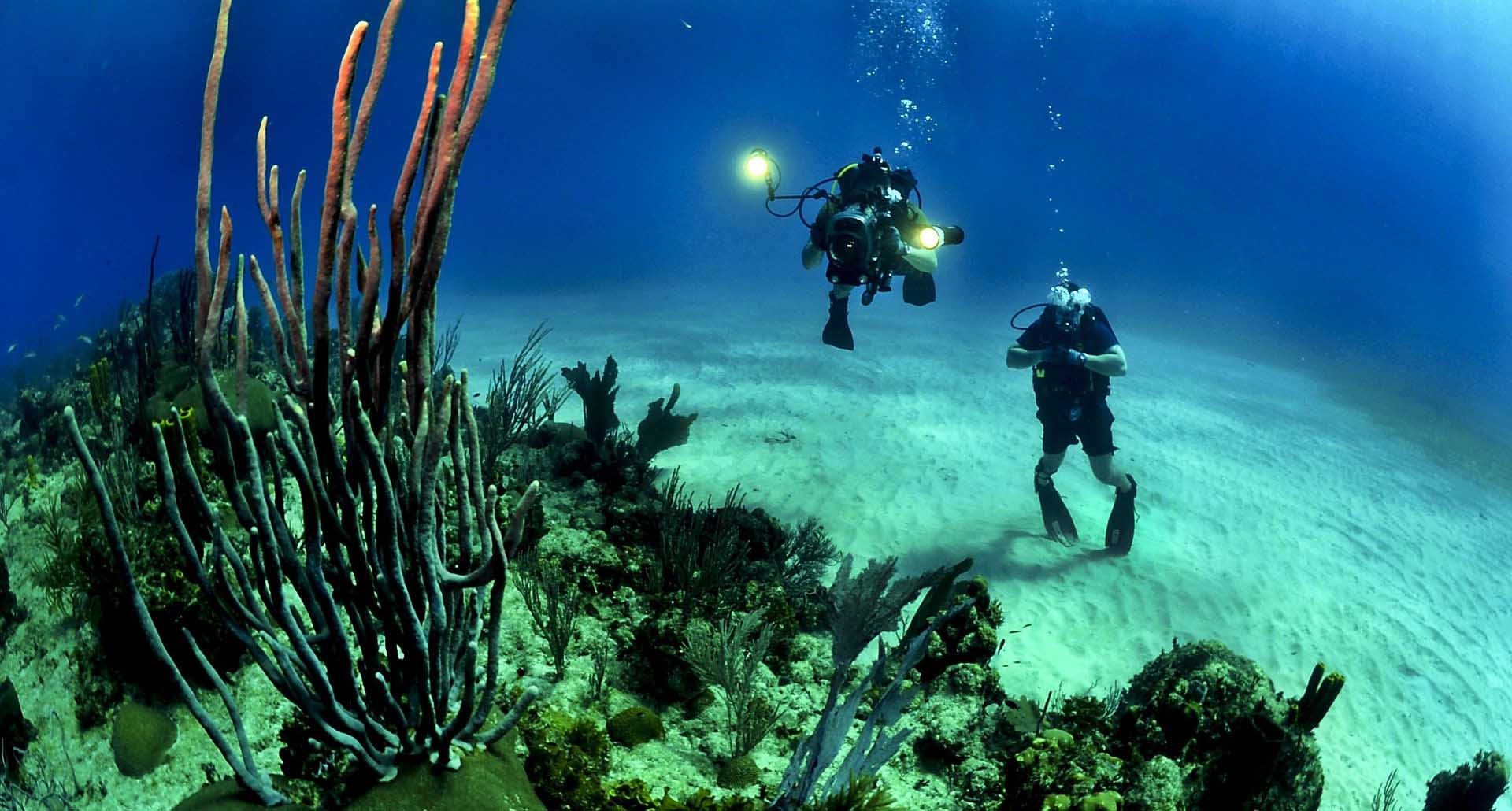 Bucear es una de las actividades que puedes realizar en ecoturismo