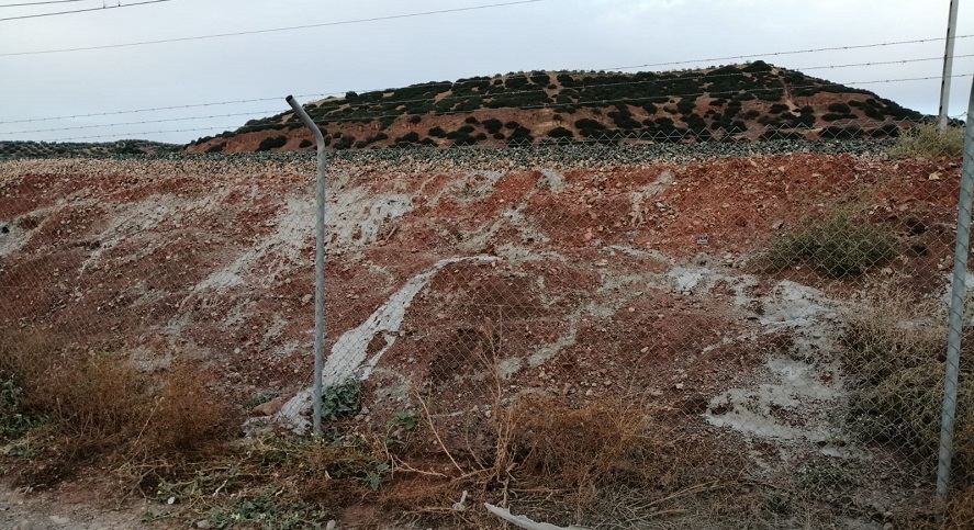 ADIF sepulta a cientos de conejos en Jaén