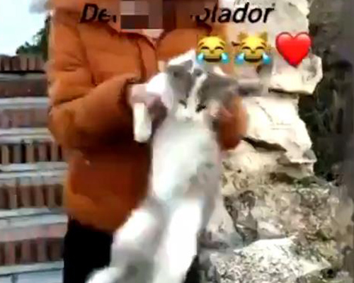 Captura del vídeo de la joven tirando a un gato desde un barranco en Deifontes
