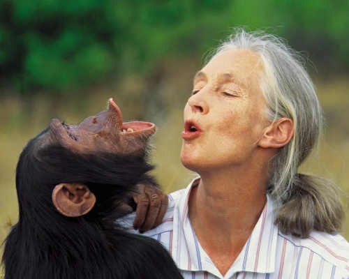 Jane Goodall, primatÃ³loga