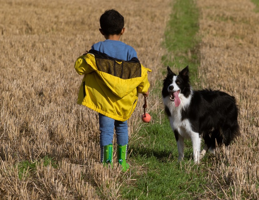 Un perro pasea con un niÃ±o