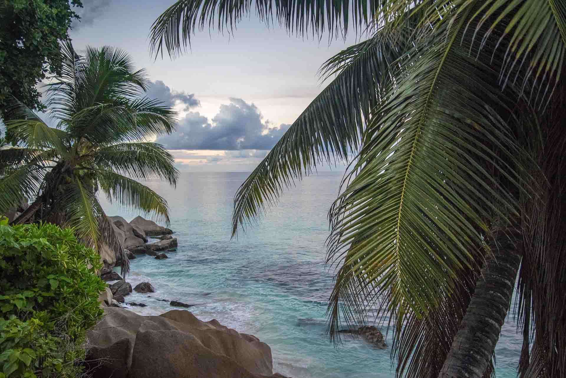 Islas Seychelles en directo