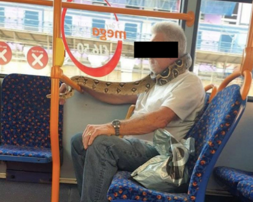 Un hombre utiliza una serpiente como mascarilla en Reino Unido