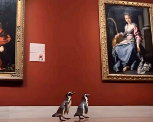 PingÃ¼inos paseando en el Museo de Arte Nelson-Atkins