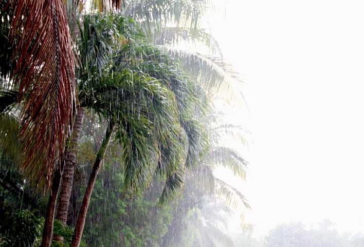 Tormenta tropical en Riviera Maya