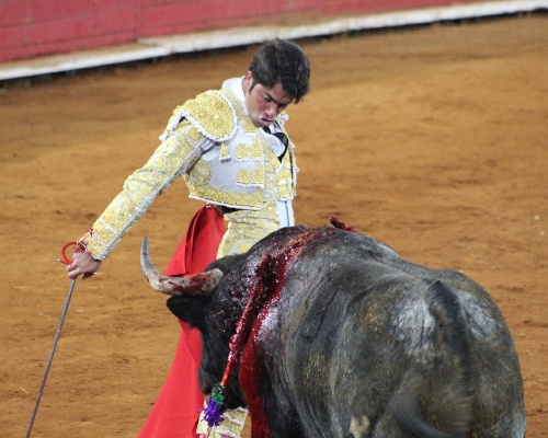 El Parlamento pide que las corridas de toros vuelvan a RTVE