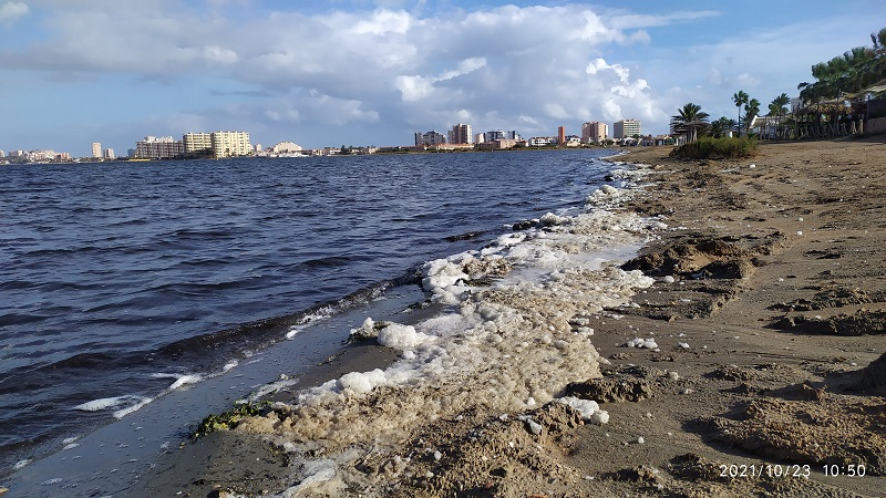 Playa del Vivero