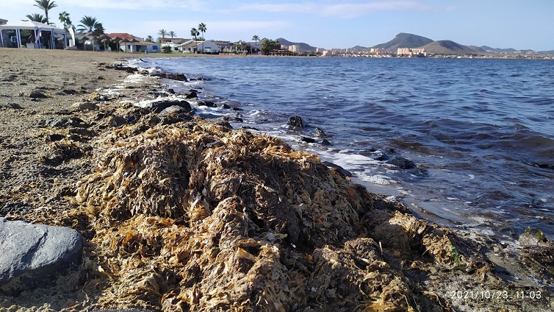 Playa del Vivero