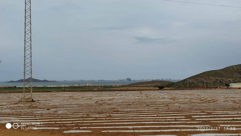 Mar de plástico, Los Nietos, Mar Menor