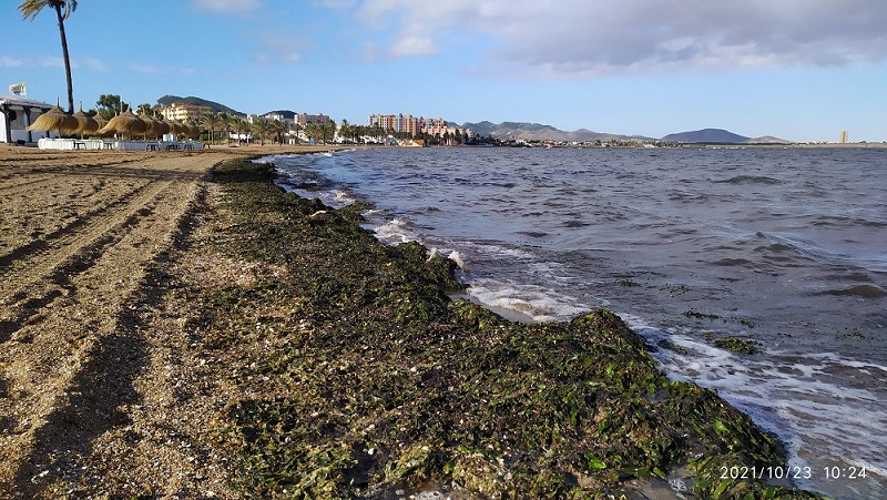 Playa Paraíso