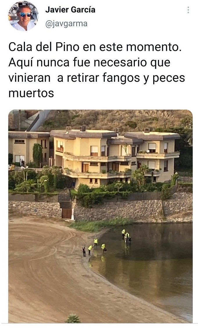 Cala del Pino, el ecodidio Mar Menor continúa