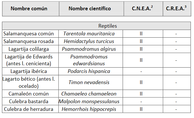 Reptiles en Cuatro Picos