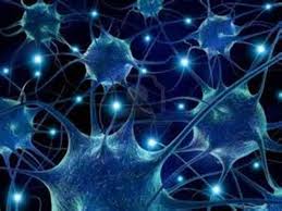 Estudio de nueva molécula para la regeneración neuronal