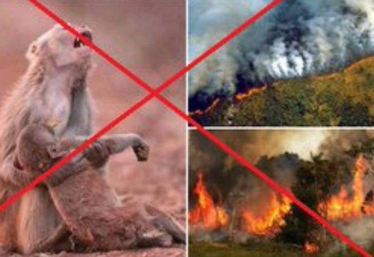 Incendios en el Amazonas: las imágenes erróneas sobre los fuegos que se están compartiendo en las redes sociales