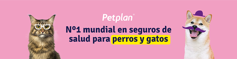 Seguro para mascotas PetPlan