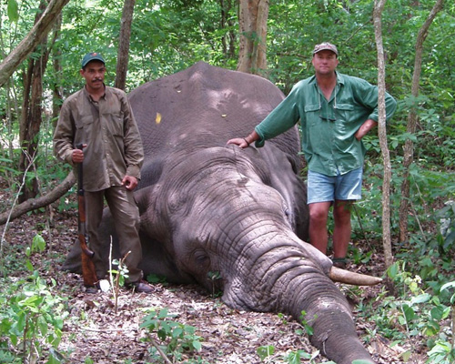 Un famoso cazador muere aplastado por un elefante