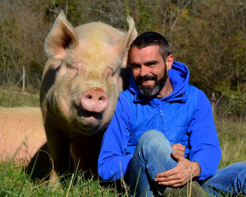 En Fundación Santuario Gaia tienen más de 500 animales de granja